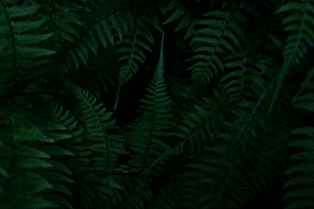 kendal-hnysCJrPpkc-unsplash